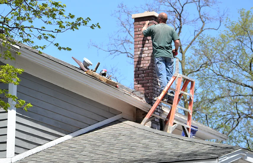 Chimney & Fireplace Inspections Services in Dundalk, MD